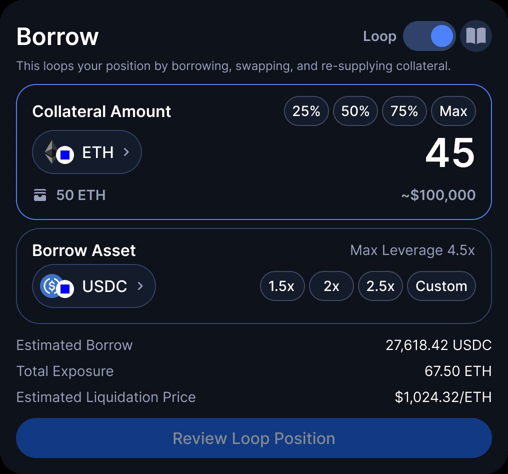 Leverage controls: a Loop toggle with preset multipliers